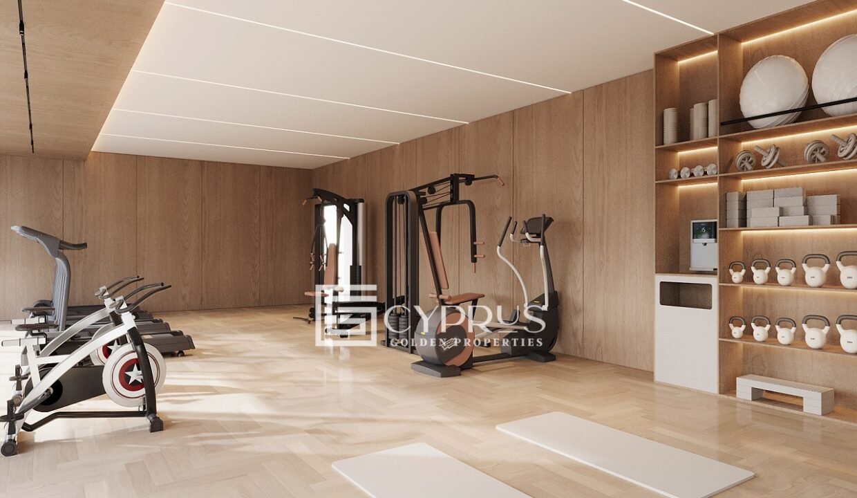 GYM1