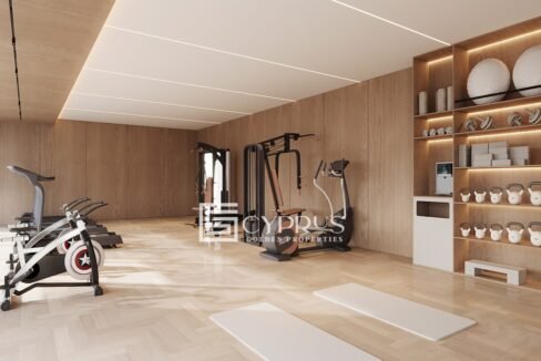 GYM1