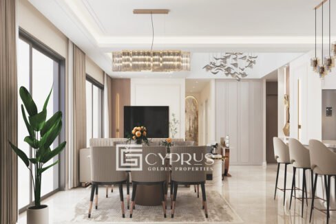 PENTHOUSE-1