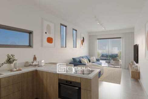 Geroskipou DOM_LIVING_KITCHEN