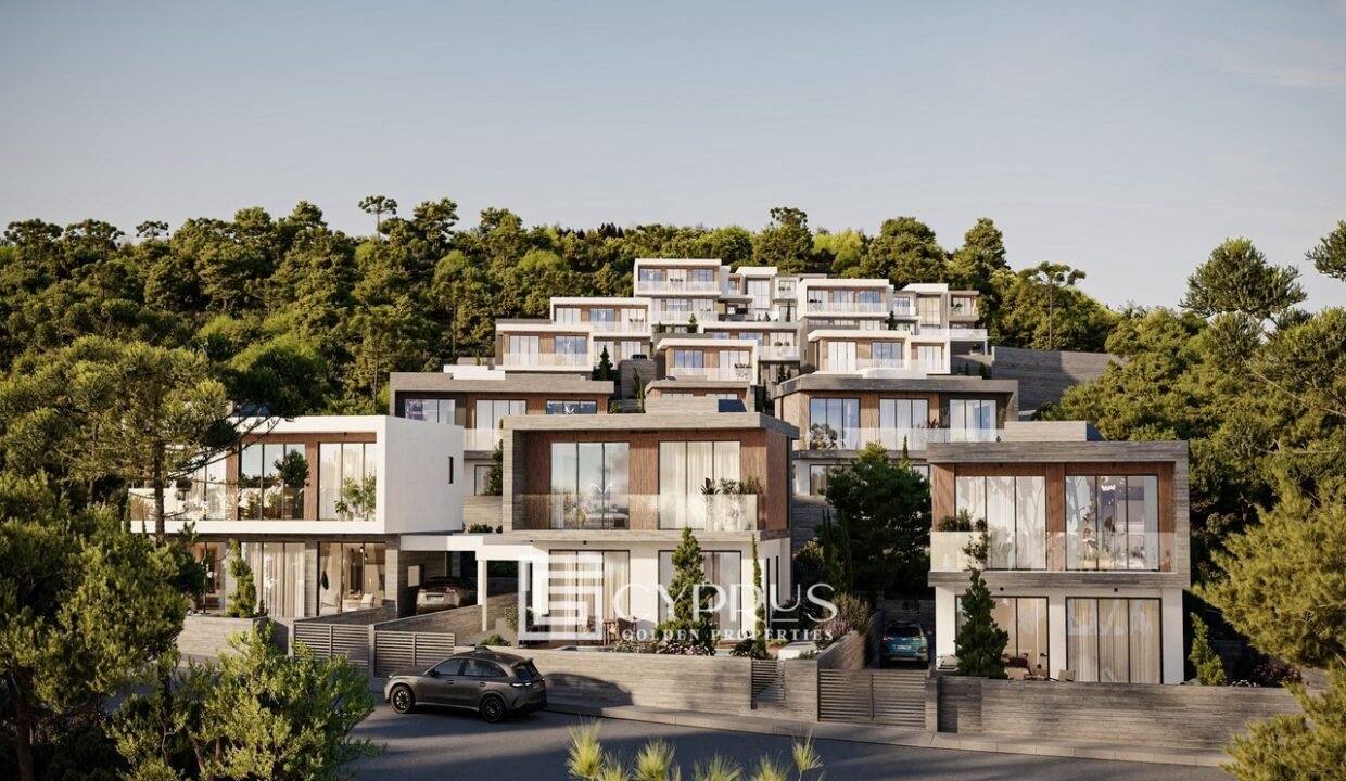 31480744-d8a3-4749-acc8-f17a05fc6b43-02