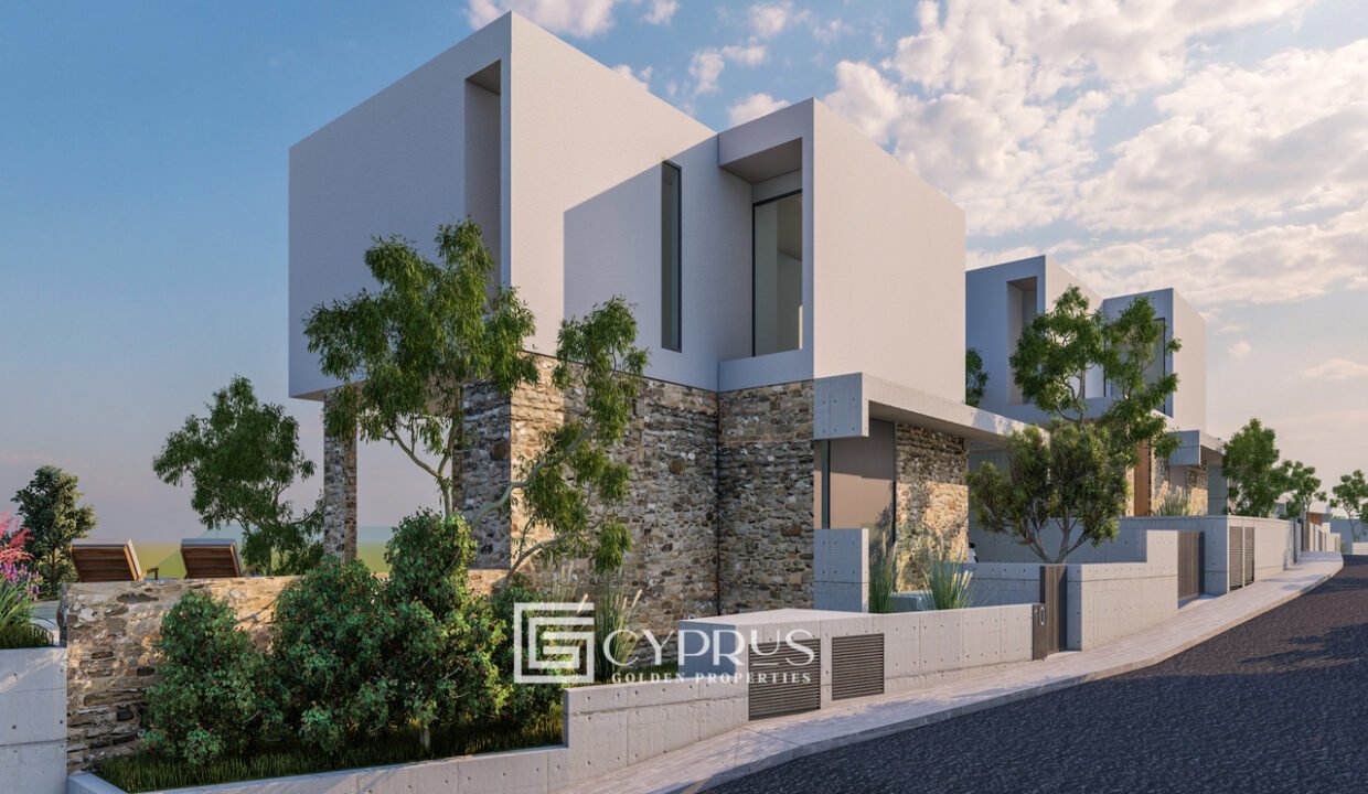 Tenera 01_25 - Photo