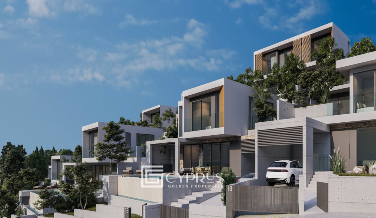 Tenera 01_26 - Photo