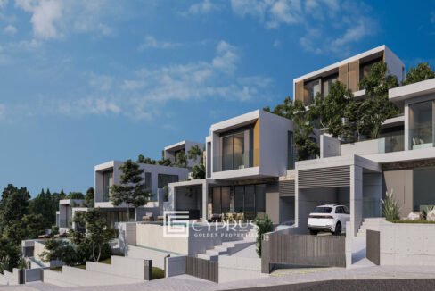 Tenera 01_26 - Photo