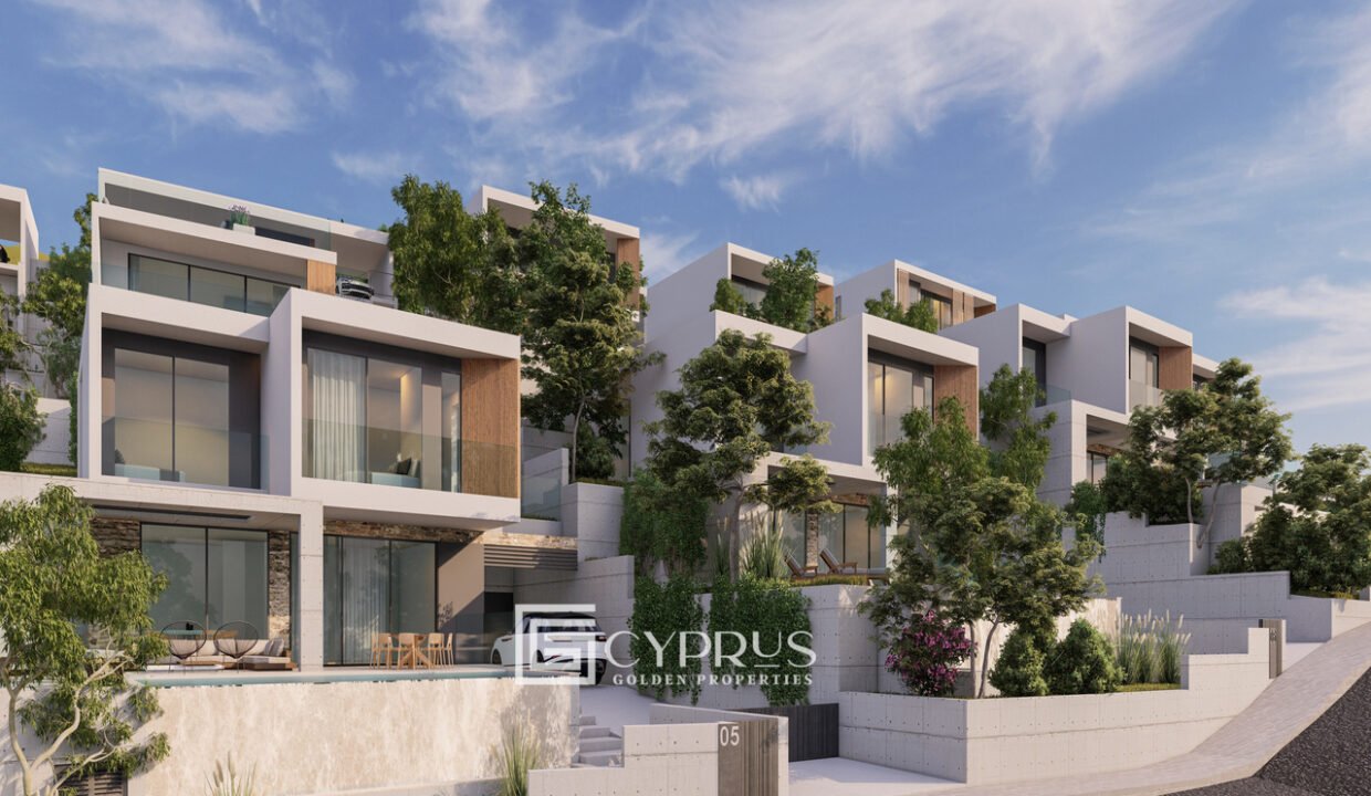 Tenera 01_27 - Photo