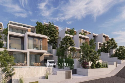 Tenera 01_27 - Photo